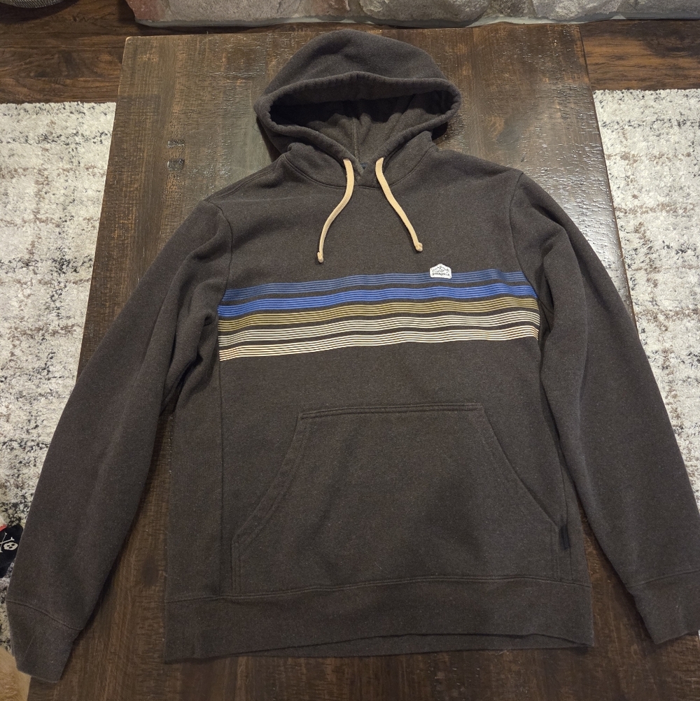 Patagonia Brown Hoodie